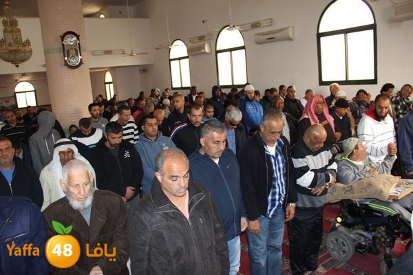 jarhoshuy msajed 0110 (3).JPG